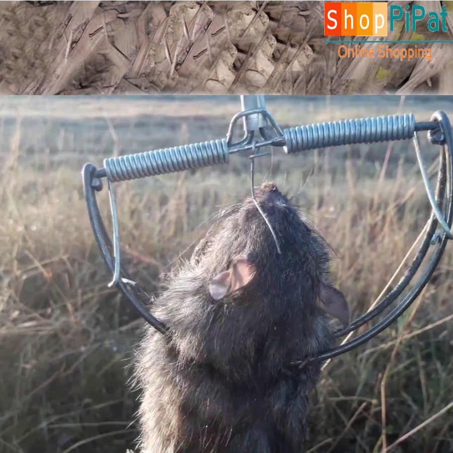 กับดัก,กับดักนก, ดักหนูตัวใหญ่, ดักหนูพุก, เบอร์ใหญ่ 1 อัน กับดักหนูแบบตี กับหนูครึ่งวงกลม อุปกรณ์ดักหนู กับดักหนู