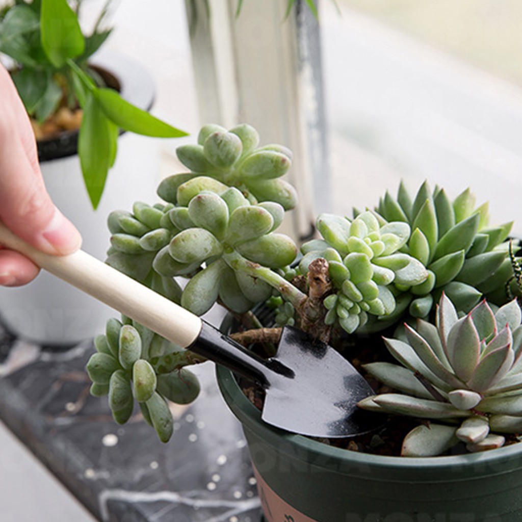 ช้อนเกาหลี ที่ตักไอศครีม ช้อน ชุดทำสวนจิ๋ว อุปกรณ์ทำสวน ไซส์เล็ก ช้อนปลูก พลั่วจิ๋ว จัดสวน แต่งสวน 3 ชิ้น NO.Y396