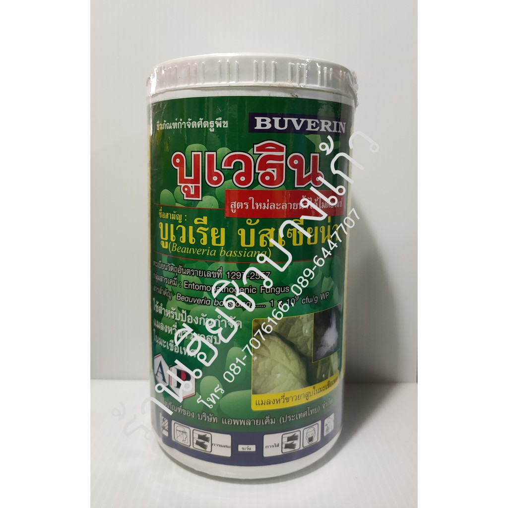 ชีวภัณฑ์กำจัดศัตรูพืช บูเวริน Buverin 500 กรัม สูตรใหม่ละลายน้ำได้ไม่ต้องแช่