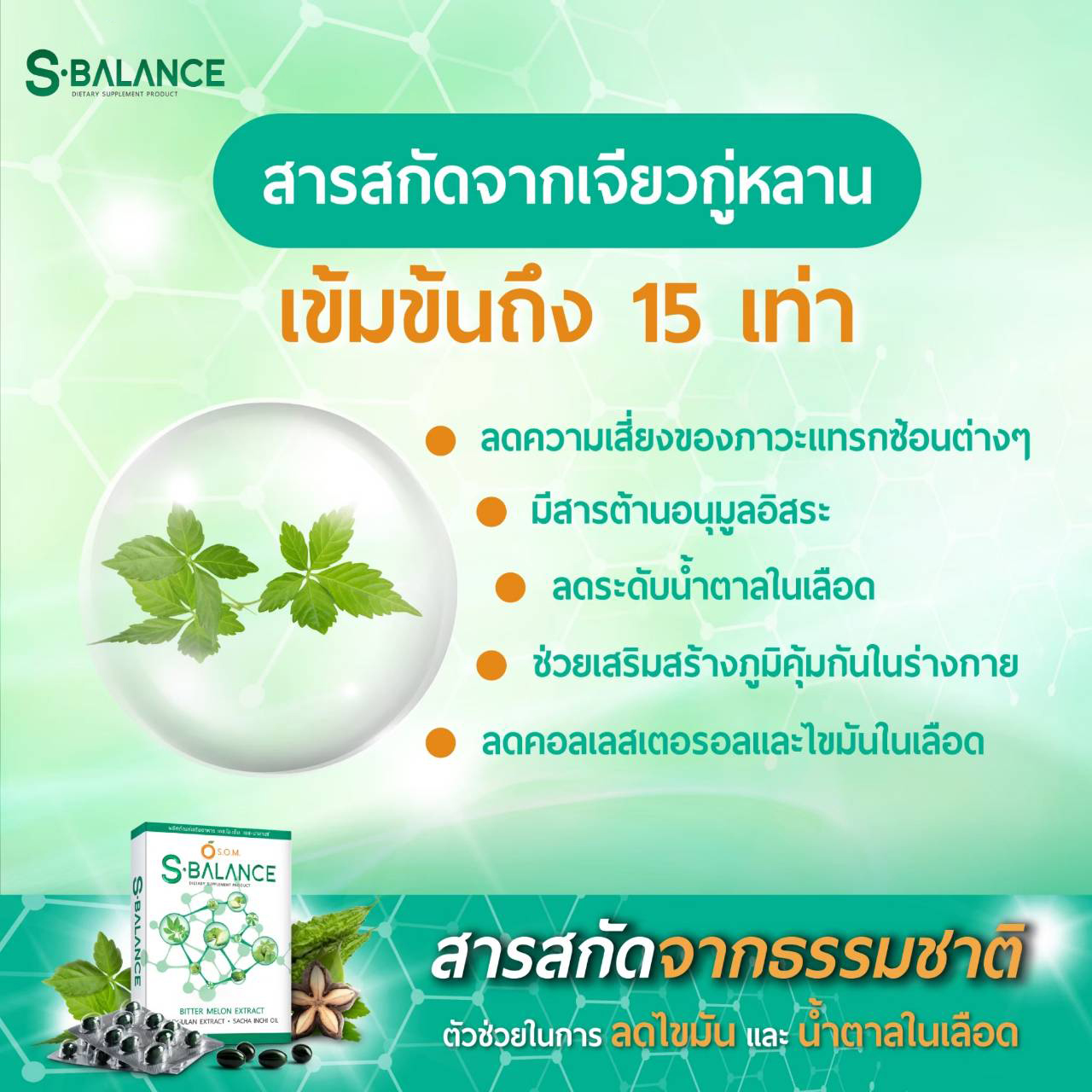เวล ยู เอส-บาลานซ์ แอดวานซ์ ราคา