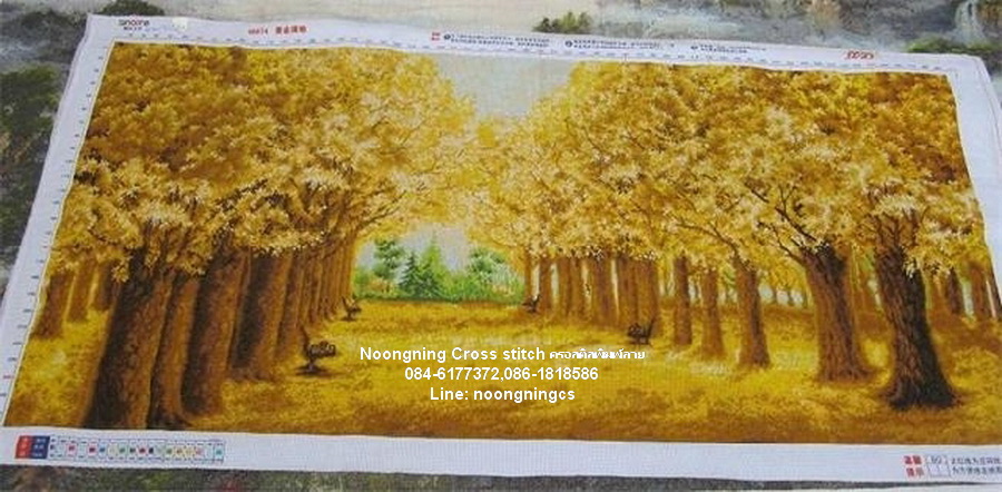 ตัวอักษรจีน ชุดปักครอสติช พิมพ์ลาย ครอสติสจีน งานฝีมือ DIY