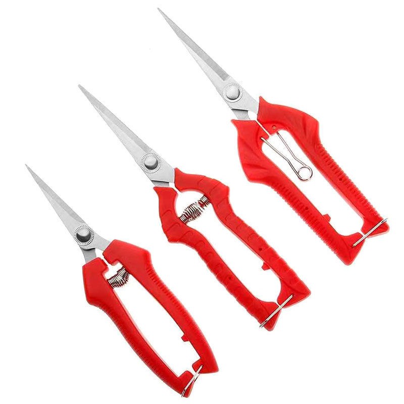 ஐ□กิ่งไม้ตัดแต่งสวน, กรรไกรเก็บผลไม้, กรรไกรผลไม้, กรรไกรพริกไทย, เครื่องมือเก็บเกี่ยวผลไม้ชนิดหนึ่ง, กรรไกรตัดผักและผ