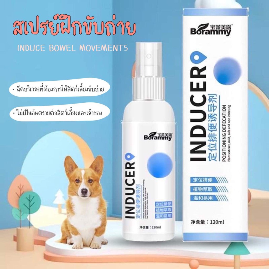 💩สเปรย์ฝึกขับถ่ายสุนัขและแมว ขนาด120ml สเปรย์ฝึกฉี่ สเปรย์ฝึกอึ ฉีดบริเวณที่ต้องการให้ขับถ่าย ห้องน้ำสุนัข