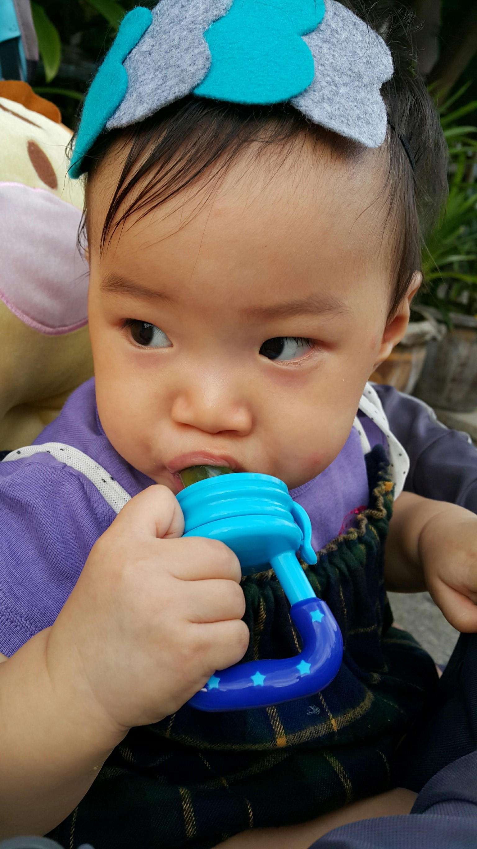 ที่ดูดผลไม้และอาหารเด็ก สีฟ้า