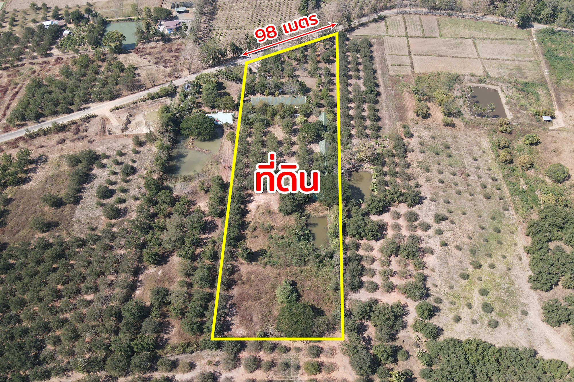 76932-ขายรีสอร์ท น้ำตกตาดหมอก อุทยานแห่งชาติตาดหมอก เมืองเพชรบูรณ์ เพชรบูรณ์