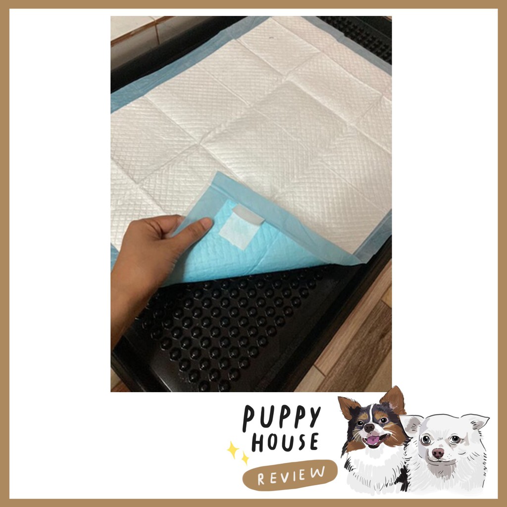 Hajiko ฮาจิโกะ แผ่นรองฉี่ ฝึกขับถ่าย แผ่นรองฉี่สุนัข แผ่นซับฉี่ แผ่นฉี่หมา ห้องน้ําสุนัข