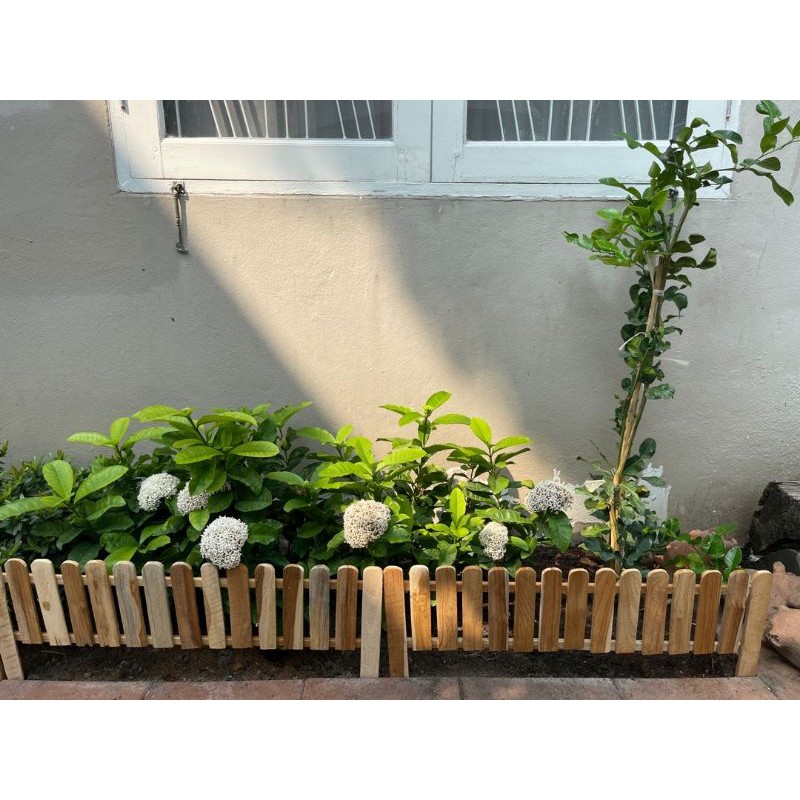 ☑️รั้วไม้สัก รั้วแต่งสวนขนาด1 แผ่น ยาว74cm× สูง40รวมขา cm 1 มัดมี 5 แผ่น ☑️# 1คำสั่งซื้อไม่เกิน 2 มัด อ่านก่อนกดสั่ง