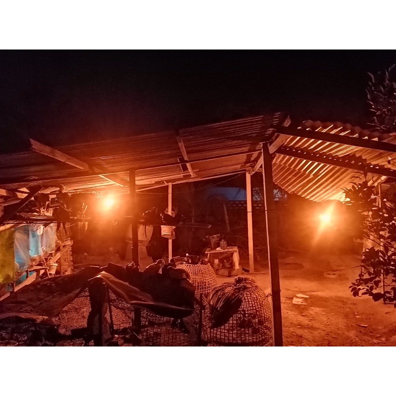 หลอดไฟไล่ยุงและแมลงระบบโซล่าเซลล์ 120Wปิด-เปิดอัตโนมัตสามารถชาร์แผงโซลาเซลล์และไฟบ้านได้