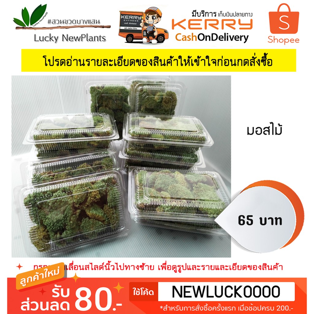 มอสไม้ มอสแห้ง มอสตกแต่งสวนขวดสวนถาด กล่องละ 65 บาท