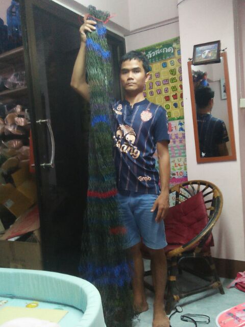 ดาง ดางล้อมไก่ อวนล้อมไก่ ตาข่ายกันไก่ ตาข่ายล้อมสวน ตาข่ายล้อมไก่สำเร็จรูป กั้นไก่ ล้อมรั้ว ตาข่าย ตาข่ายอเนกประสงค์