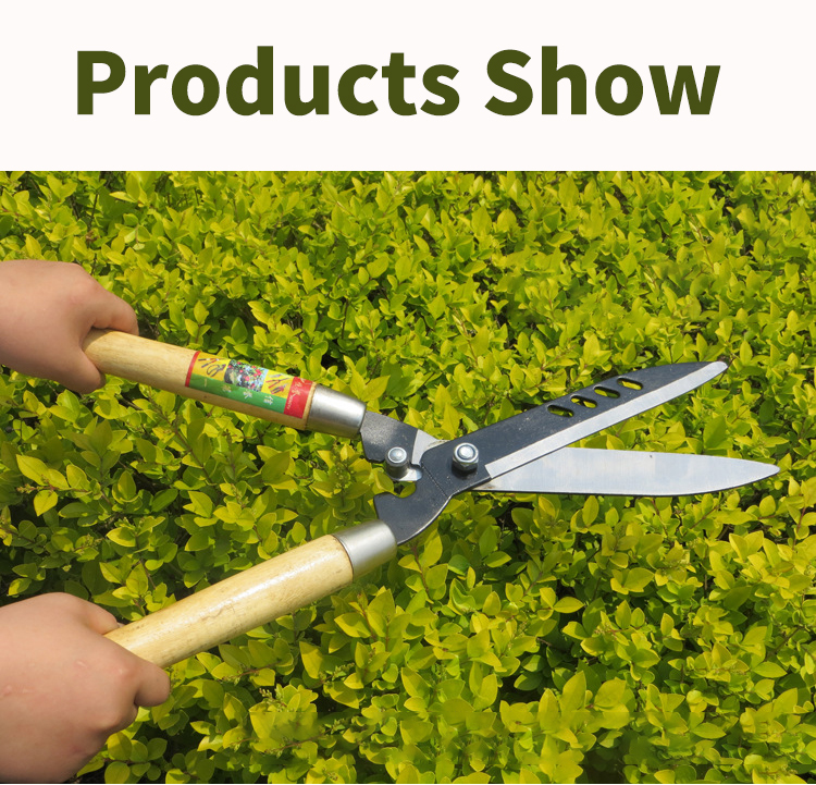 T&G กรรไกรตัดแต่งกิ่ง กรรไกรตัดหญ้า อุปกรณ์ตกแต่งสวน น้ำหนักเบา ตัดเร็ว กรรไกรตัดหญ้าด้ามไม้ กรรไกรเล็มหญ้า