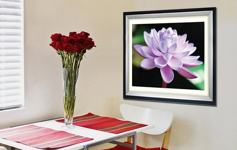 ดอกบัว ชุดปักครอสติส พิมพ์ลาย ครอสติสจีน งานฝีมือทำที่บ้าน DIY