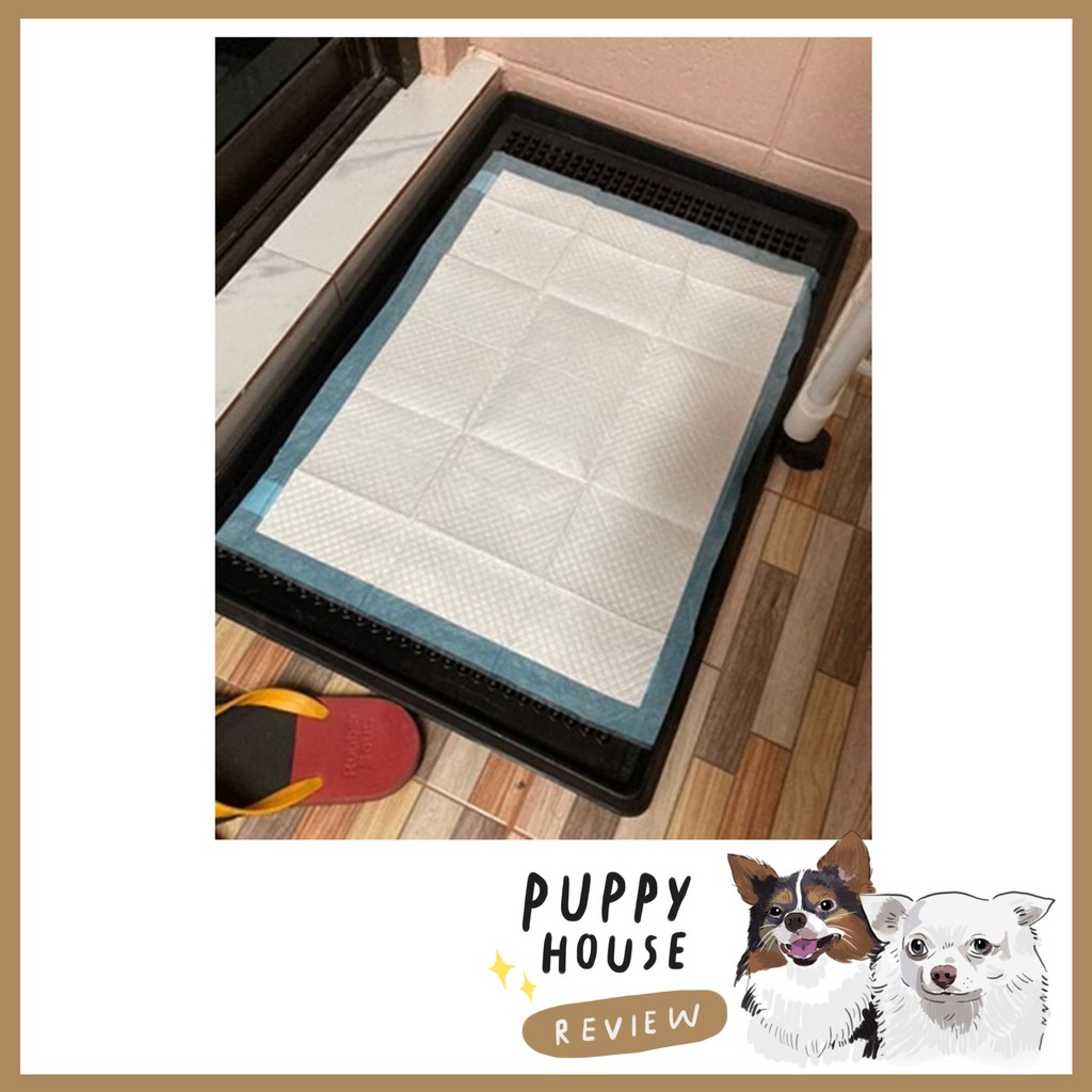 Hajiko ฮาจิโกะ แผ่นรองฉี่ ฝึกขับถ่าย แผ่นรองฉี่สุนัข แผ่นซับฉี่ แผ่นฉี่หมา ห้องน้ําสุนัข