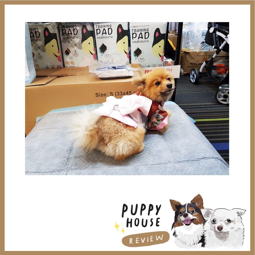 Hajiko ฮาจิโกะ (รุ่นชาร์โคล) แผ่นรองฉี่ ฝึกขับถ่าย แผ่นรองฉี่สุนัข แผ่นซับฉี่ แผ่นฉี่หมา ห้องน้ําสุนัข