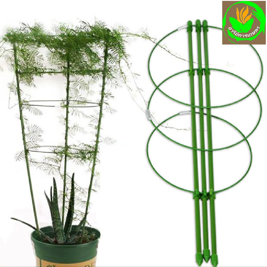 เซตโครงพยุงไม้เลื้อย ผักสวนครัว หลักล้อมใช้ปักลงในกระถางต้นไม้ จัดโครงต้นไม้ให้สวยงามตั้งตรง และทำโครงไม้เลื้อยได้ง่าย