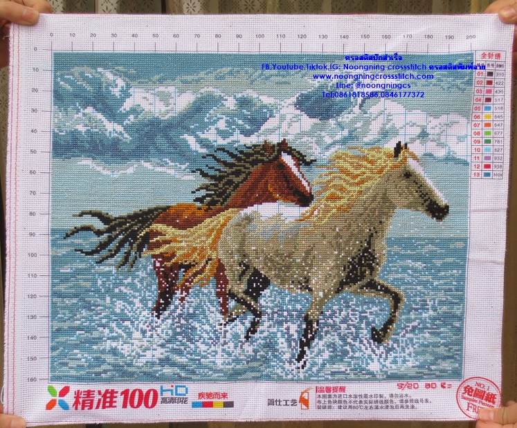 ม้าคู่มงคล ครอสติสปักสำเร็จ11CT:ขนาดผ้า :45X55 ซม.