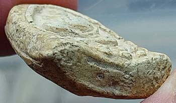 พระกรุวัดเงินคลองเตย กทม. พิมพ์สังกัจจายน์มีหู เนื้อผง