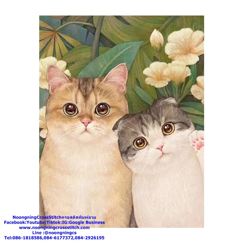 แมวเหมียว ตาใสๆ ชุดปักครอสติช พิมพ์ลาย ครอสติสจีน งานฝีมือ DIY