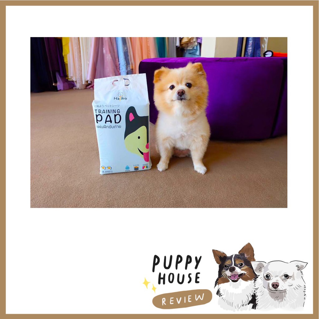 Hajiko ฮาจิโกะ แผ่นรองฉี่ ฝึกขับถ่าย แผ่นรองฉี่สุนัข แผ่นซับฉี่ แผ่นฉี่หมา ห้องน้ําสุนัข