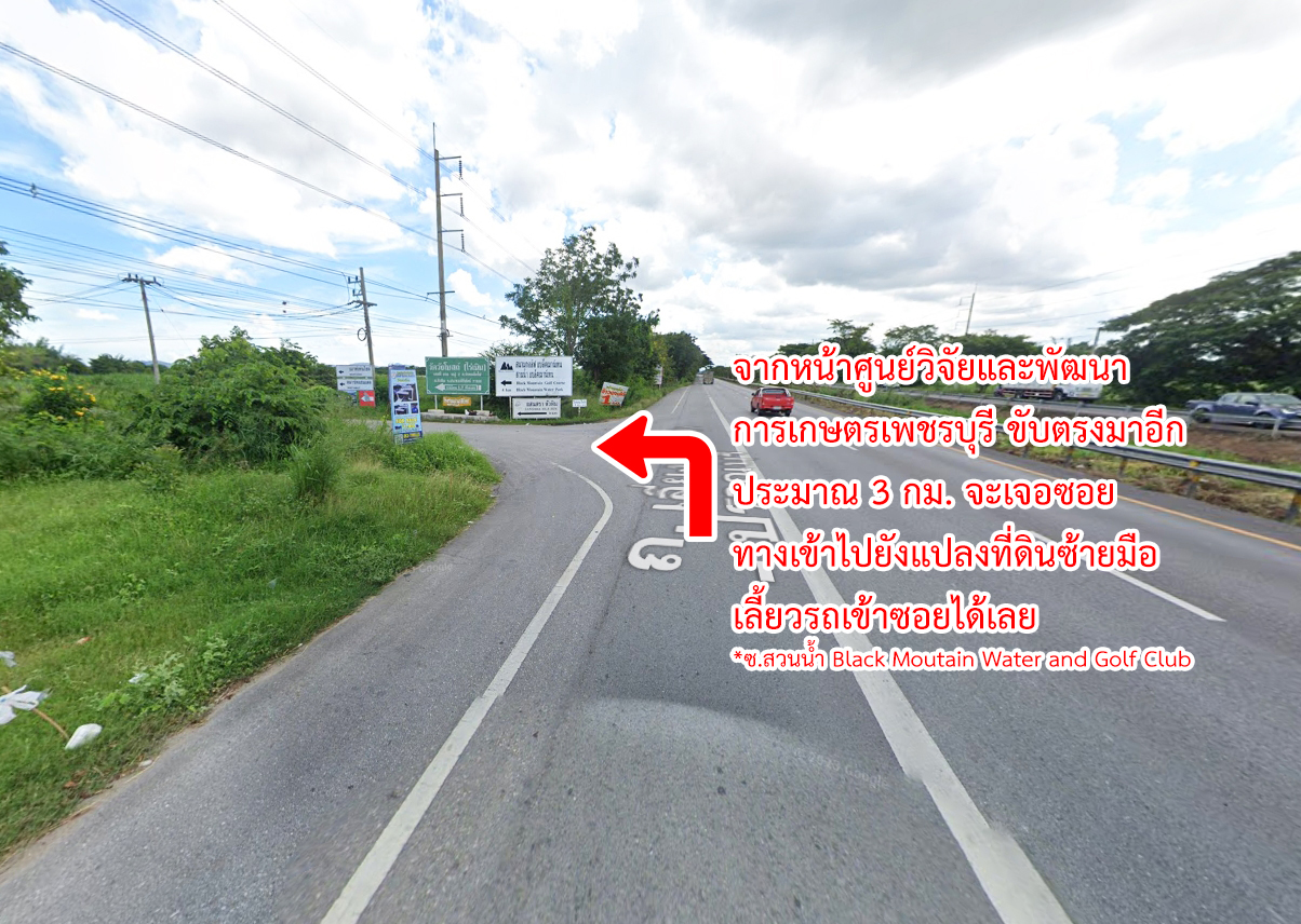 62110-ขายที่ดิน ใกล้สวนน้ำ แบล็ค เมาน์เทน หัวหิน