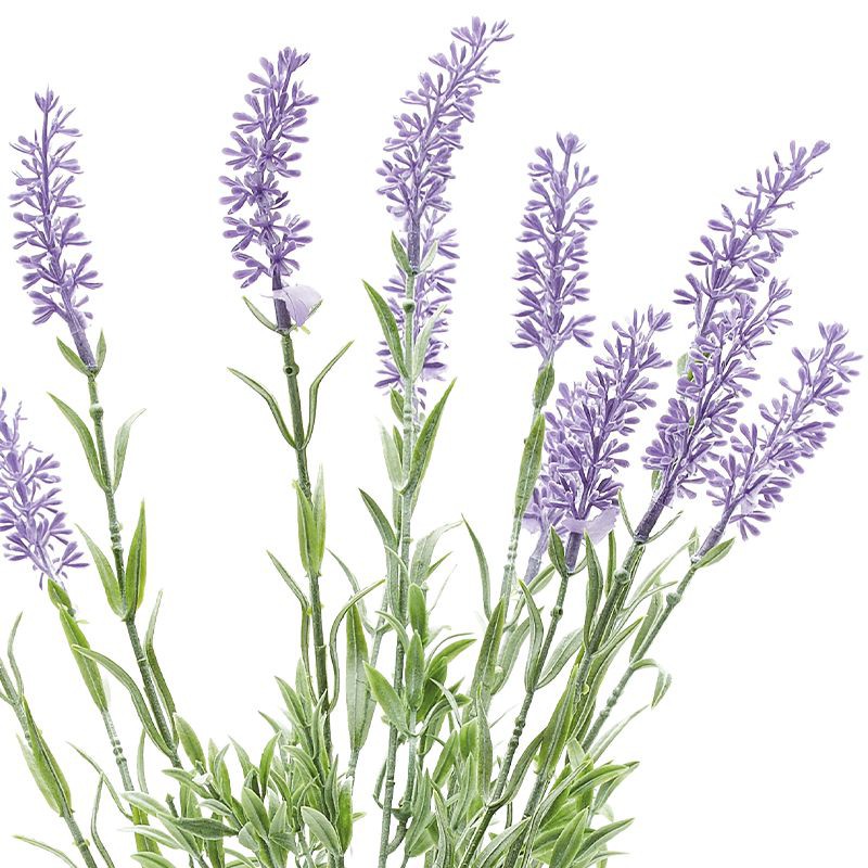 FONTE ดอกไม้ประดิษฐ์ ดอกลาเวนเดอร์ รุ่น YF19063 ขนาด 46 ซม. สีเขียว - ม่วง
