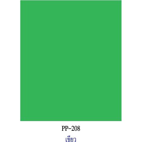 สีเขียว กระดาษโปสเตอร์สี 2 หน้า 20 แผ่น PP208