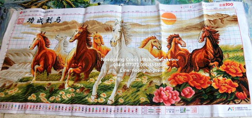 ม้าครอสติสพิมพ์ลาย