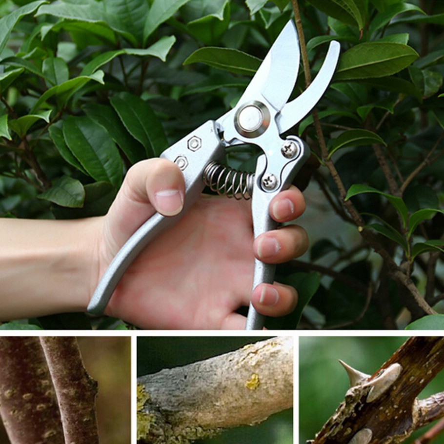 📣มีดตัดแต่งกิ่งกรรไกรตัดแต่งกิ่งกรรไกรตัดแต่งกิ่งไม้ตกแต่งสวนกรรไกรตัดแต่งกิ่งกรรไกรตัดแต่งกิ่งกรรไกรกรรไกรตัดกิ่งไม้