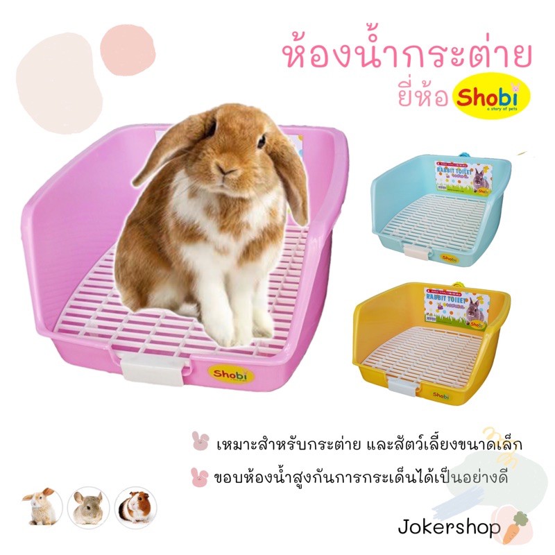 ห้องน้ำกระต่าย รุ่นใหม่ shobi
