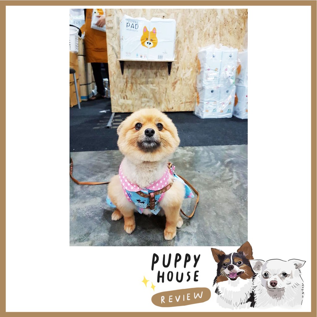 Hajiko ฮาจิโกะ (รุ่นชาร์โคล) แผ่นรองฉี่ ฝึกขับถ่าย แผ่นรองฉี่สุนัข แผ่นซับฉี่ แผ่นฉี่หมา ห้องน้ําสุนัข