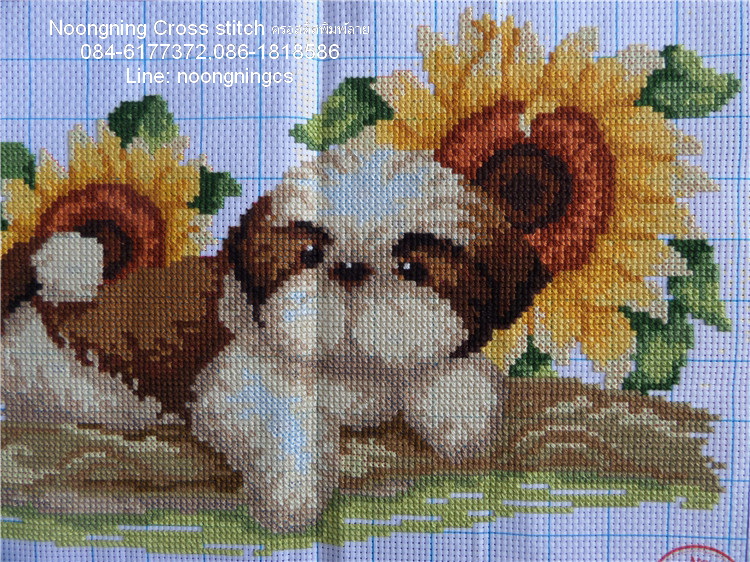 ม้าครอสติสพิมพ์ลาย