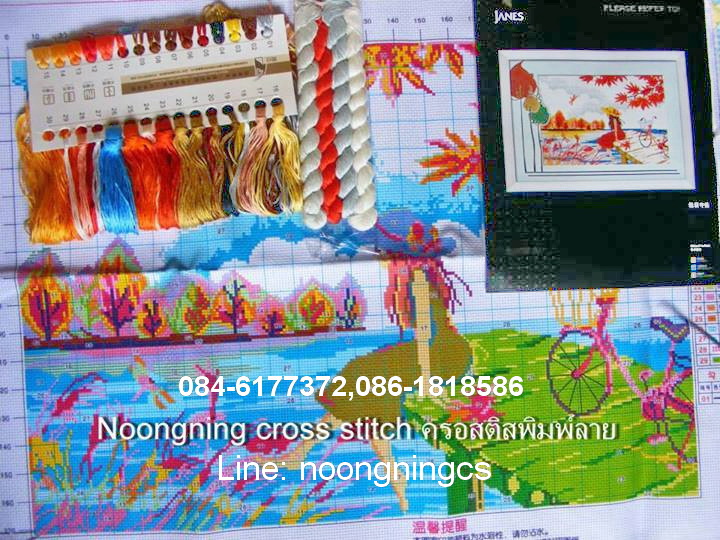 เสือมงคล ชุดปักครอสติส พิมพ์ลาย ครอสติสจีน งานฝีมือทำที่บ้าน DIY