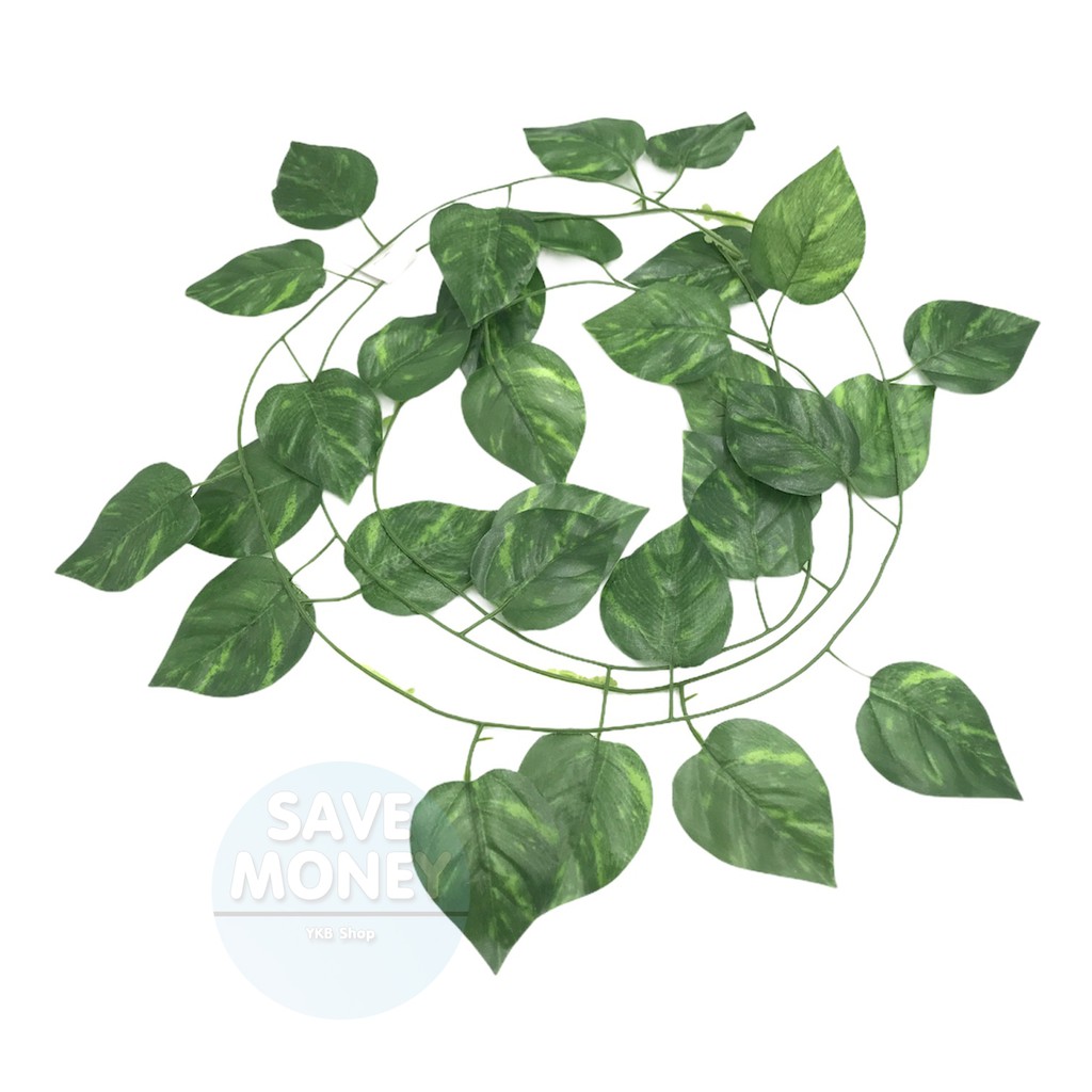 เถาวัลย์ปลอม ไม้เลื้อย🍀 ยาว2เมตร เถาวัลย์ ใบไม้ปลอม ใบองุ่น ใบพลูด่าง ใบไม้ประดิษฐ์ แต่งสวน