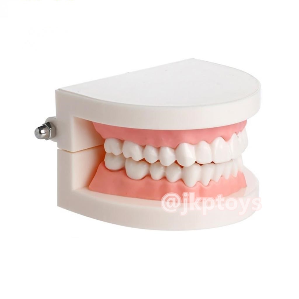 โมเดลฟันเสมือนจริง