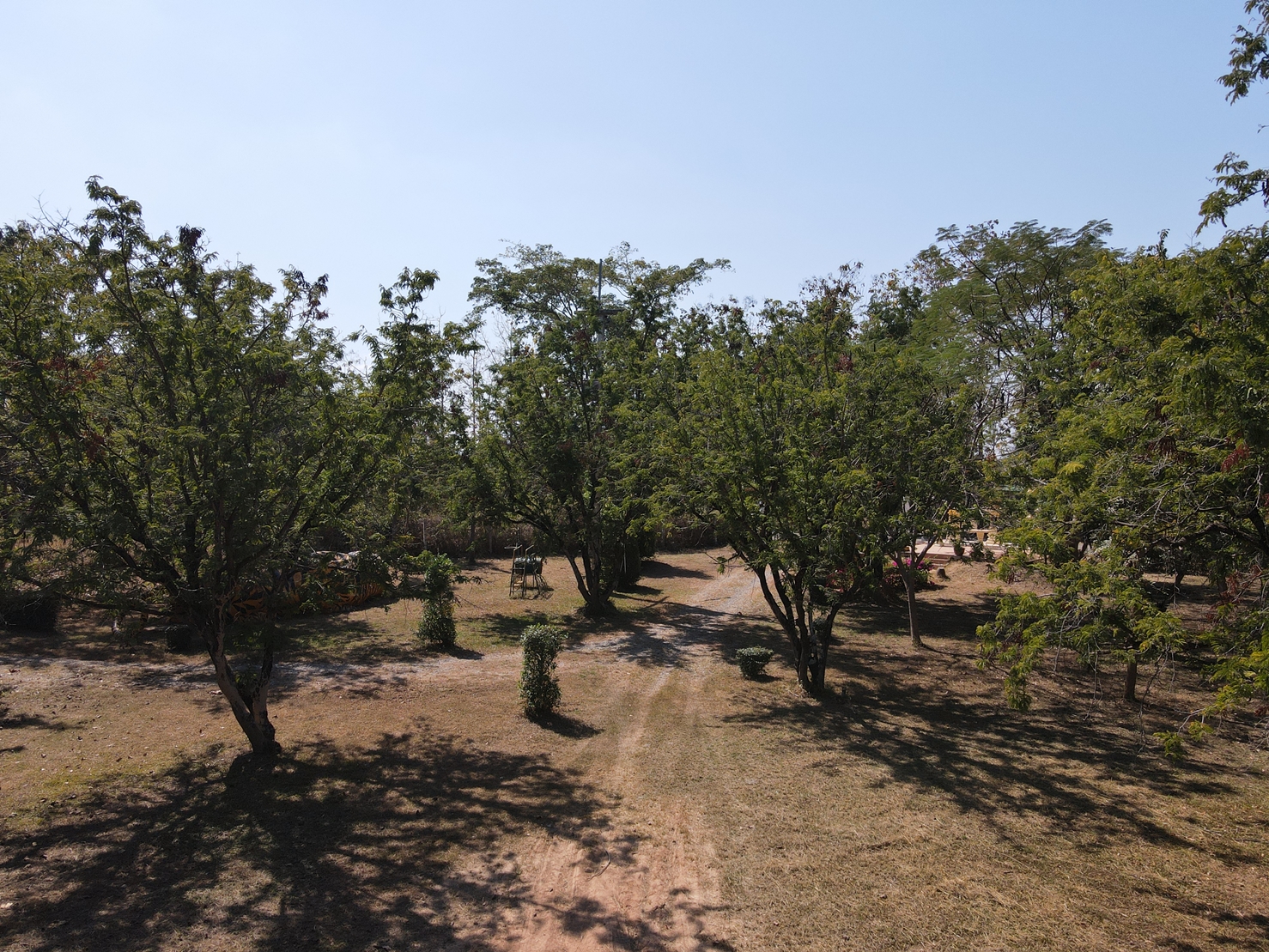 76932-ขายรีสอร์ท น้ำตกตาดหมอก อุทยานแห่งชาติตาดหมอก เมืองเพชรบูรณ์ เพชรบูรณ์