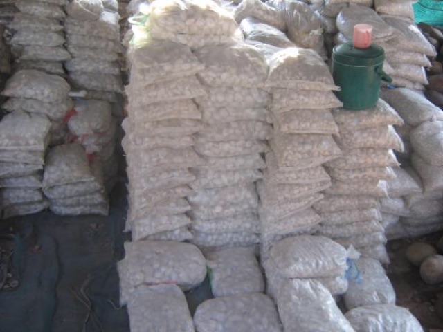 หินขาว หินน้ำตาล หินแต่งสวน ไม่ได้คัด 🔥กิโลละ 20 บาท🔥