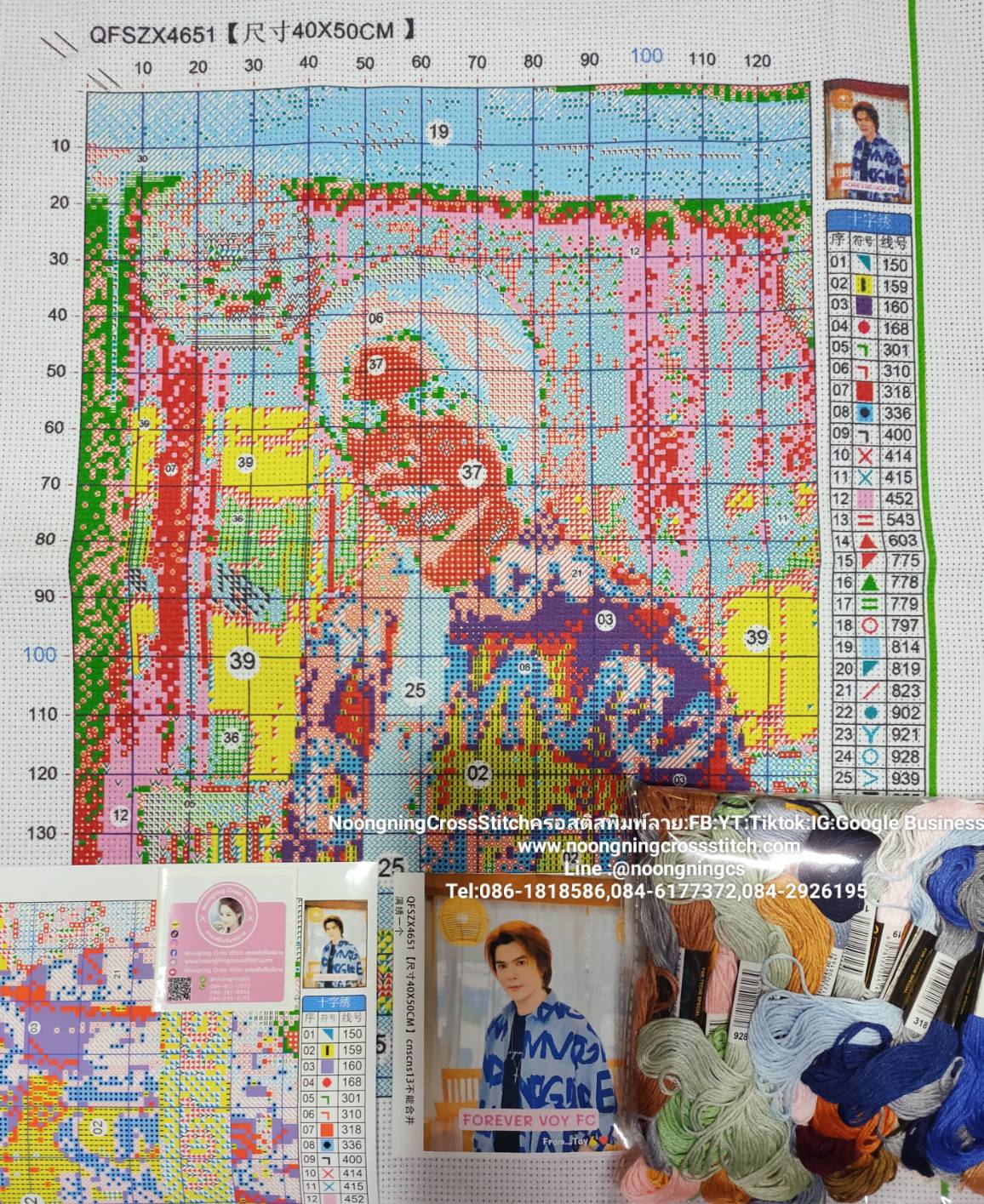 ครอสติส สั่งทํา 40x50ซม รูปนักร้องที่ชอบ ชุดปักครอสติส พิมพ์ลาย ครอสติสจีน งานฝีมือทำที่บ้าน DIY