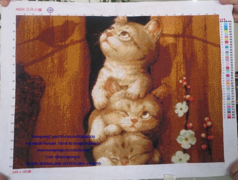 ลูกแมวสามตัว ครอสติสปักสำเร็จ
