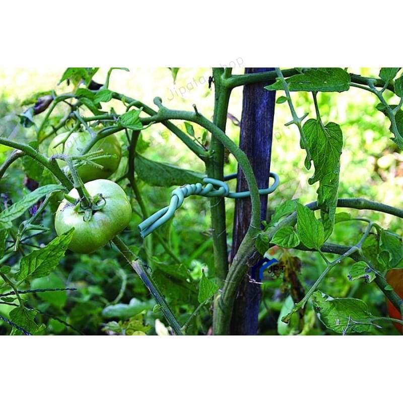 ลวดดัดกิ่งไม้ ลวดดัดต้นไม้ขนาดเล็ก หุ้มยางนุ่ม ลวดดัดกิ่งไม้ ลวดมัดงานสวน ลวดมัดกิ่งหุ้มยางนิ่ม 5 เมตร