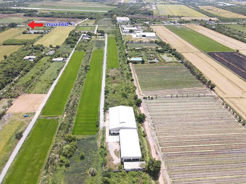 86359 ขายโรงงาน+โกดัง ไทรใหญ่ ไทรน้อย นนทบุรี