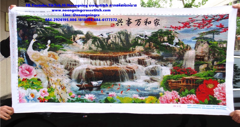 นกยูงสีขาวทองมงคล ครอสติสปักสำเร็จ11CT:ขนาดผ้า :145X70 ซม.