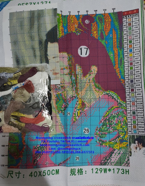 ครอสติส สั่งทํา 40x50ซม รูปดาราที่ชอบ ชุดปักครอสติส พิมพ์ลาย ครอสติสจีน งานฝีมือทำที่บ้าน DIY