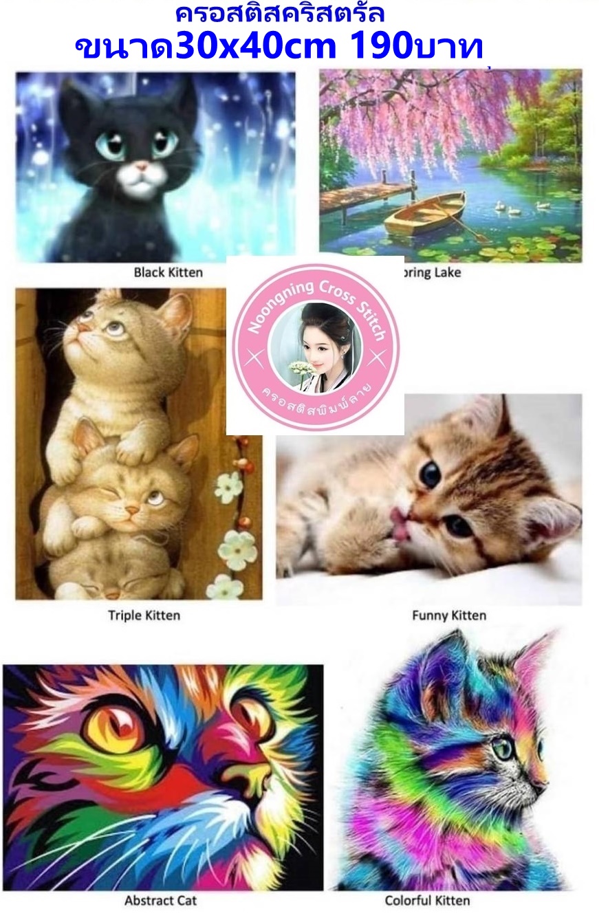 30x40cmราคา190บาทลดราคา!! ลดกระหน่ำ!! ชุดติดครอสติสคริสตัล Diamond painting โมเสก ภาพติดเพชร งานฝีมือทำที่บ้าน DIY