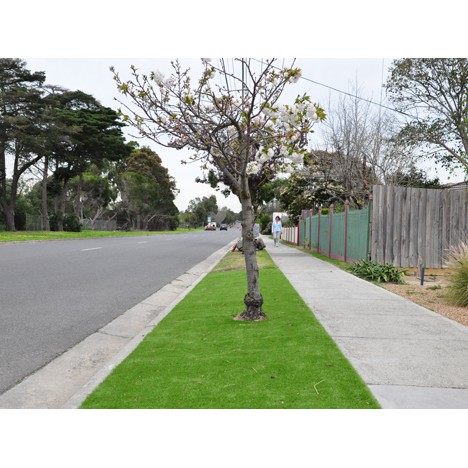 Bellinturf หญ้าเทียม ความสูงของหญ้า 15mm. ใช้ปูพื้น ตกแต่งสวน ขนาด 1x5 เมตร รุ่น BNL5M15 lFnt