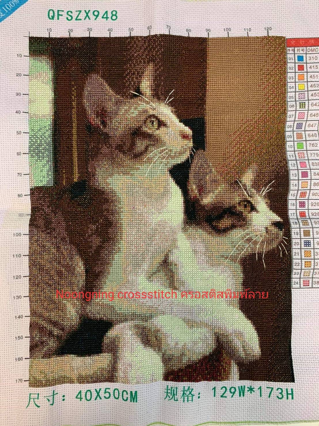 ครอสติส สั่งทํา 40x50ซม รูปสัตว์เลี้ยงที่รัก ชุดปักครอสติส พิมพ์ลาย ครอสติสจีน งานฝีมือทำที่บ้าน DIY