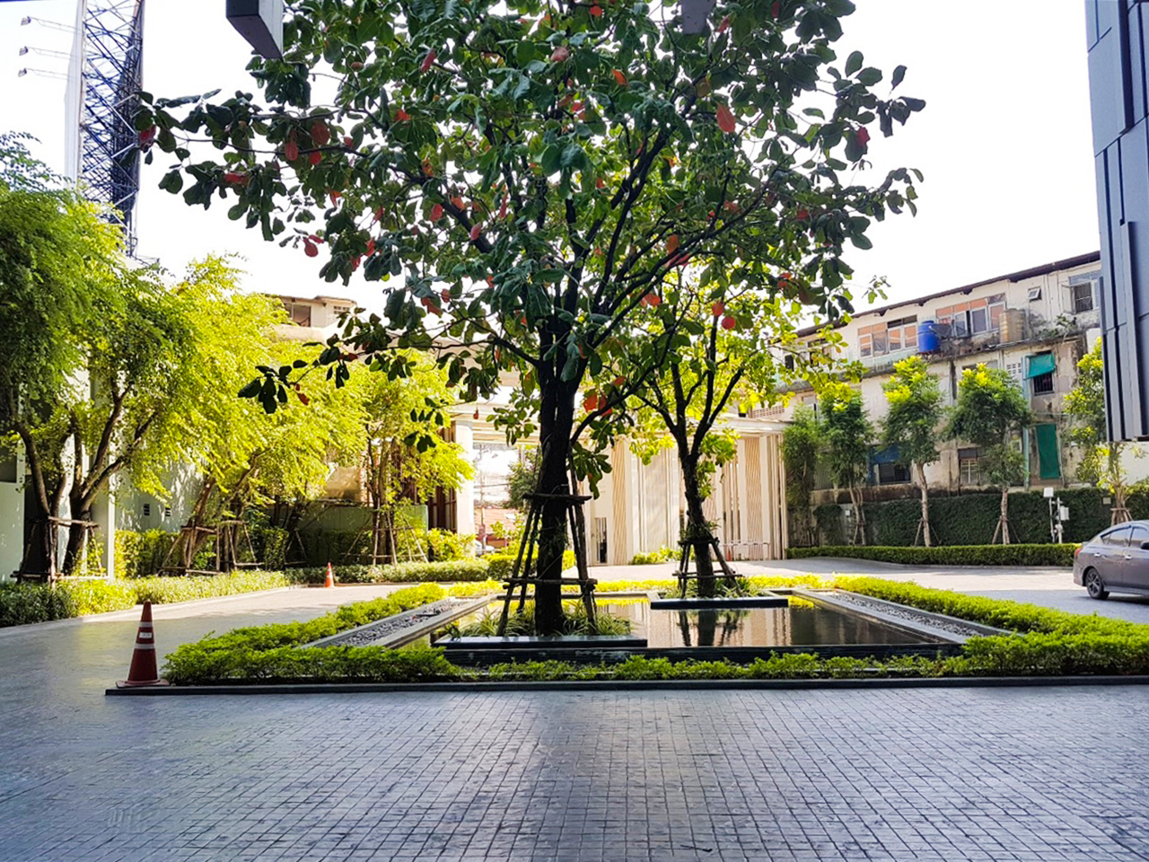 31244-ขายคอนโด เซ็นทริค ติวานนท์ สเตชั่น บางเขน นนทบุรี