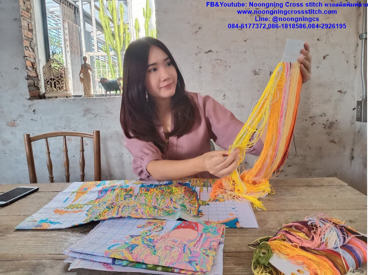 แมวเหมียว มองนก ชุดปักครอสติช พิมพ์ลาย ครอสติสจีน งานฝีมือ DIY