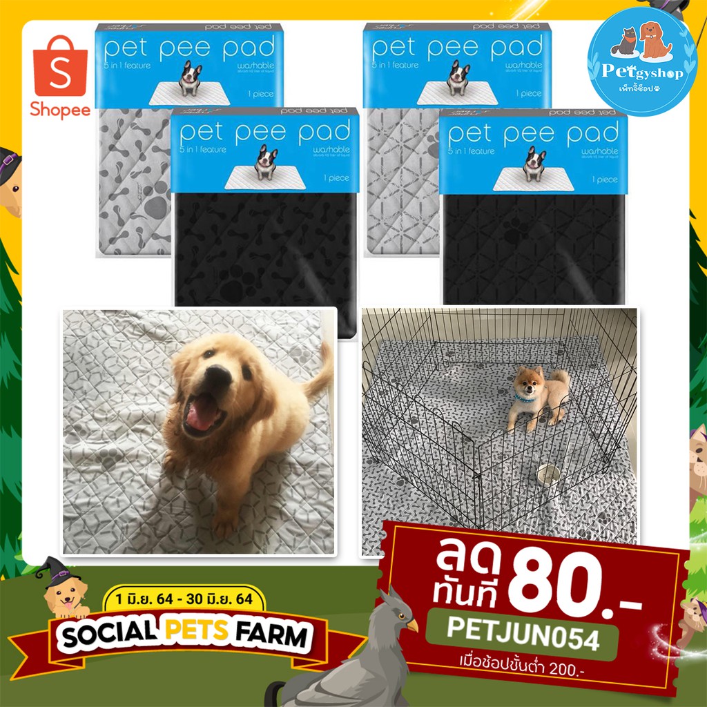Pet Pee Pad แผ่นรองซับซักได้ แผ่นรองซับปัสสาวะสัตว์เลี้ยง(ของแท้!)‼️มีเก็บปลายทางจ้า‼️