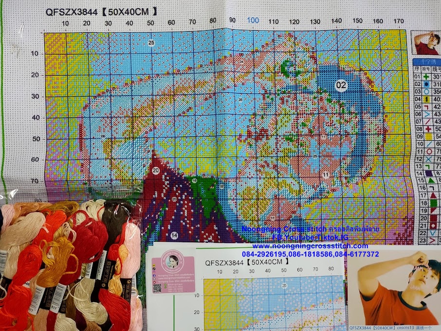 ครอสติส สั่งทํา 40x50ซม รูปดาราที่ชอบ ชุดปักครอสติส พิมพ์ลาย ครอสติสจีน งานฝีมือทำที่บ้าน DIY