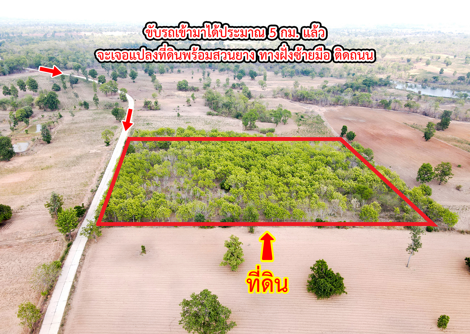 86310-ขายที่ดินพร้อมสวนยาง ต.ชีบน อ.บ้านเขว้า จ.ชัยภูมิ
